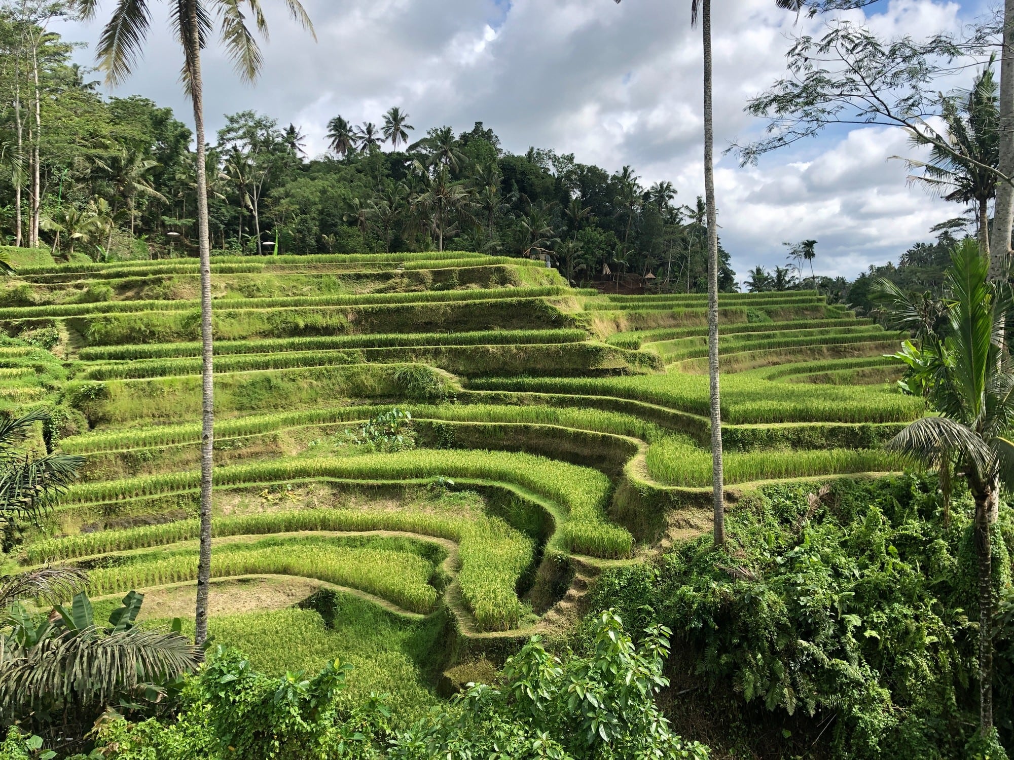 In the wake of Eat, Pray, Love, this once-quiet hamlet in the hills has quickly become a major tourist destination.