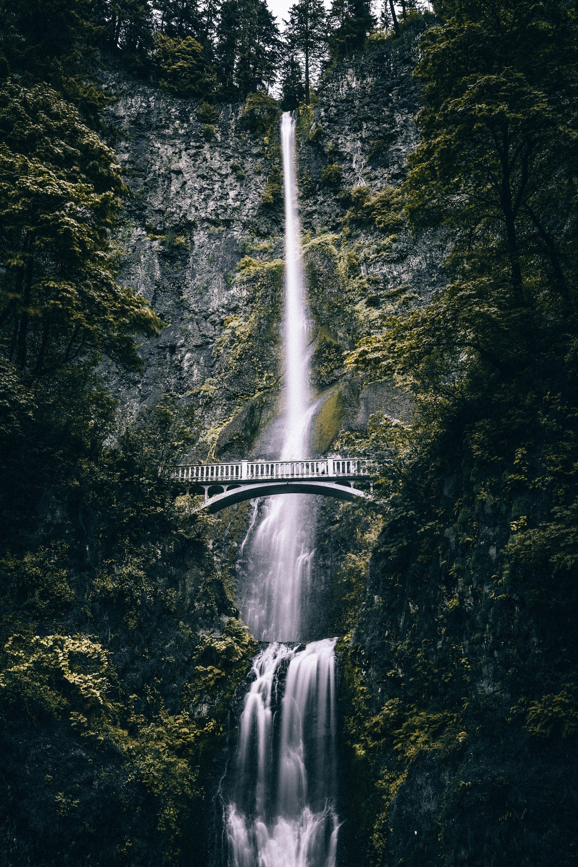 Nowhere else can you gaze upon a volcano while soaking in a hot spring one day, hike deep into a rain forest the next, and end your day surfing.